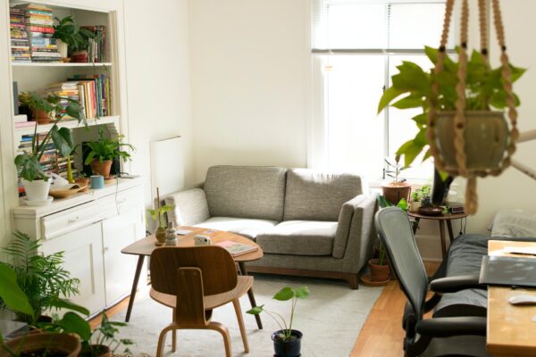Grünes Zuhause: Tipps für eine gemütliche Einrichtung mit Pflanzen